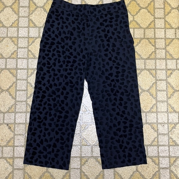 Two EUC velour, capris, one Ann Taylor/ one A.N.A - Picture 2 of 16